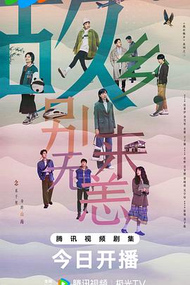 郑州整站网站优化代办